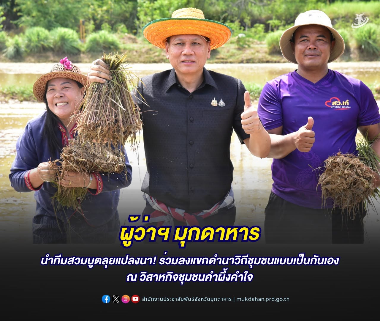 ผู้ว่าฯ มุกดาหาร นำทีมสวมบูตลุยแปลงนา! ร่วมลงแขกดำนาวิถีชุมชนแบบเป็นกันเอง ณ วิสาหกิจชุมชนคำผึ้งคำใจ